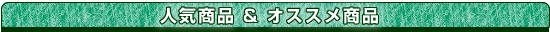 人気商品&オススメ商品